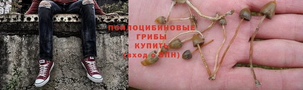 спиды Горняк