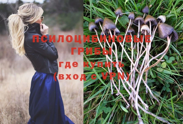 спиды Горняк