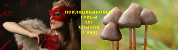 спиды Горняк