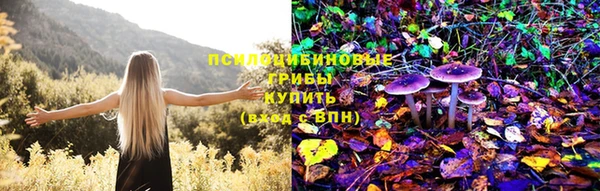 винт Горно-Алтайск