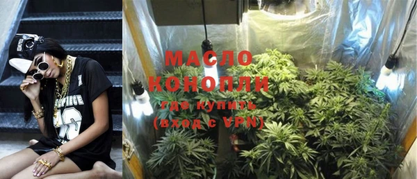 спиды Горняк