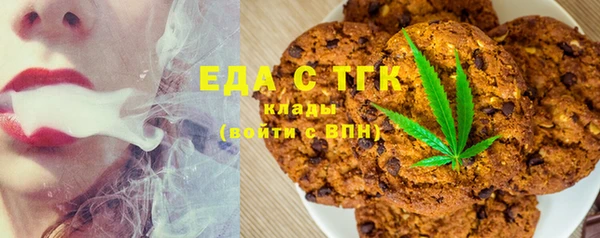 спиды Горняк