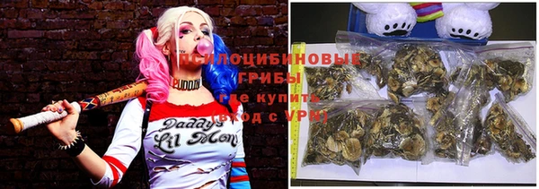 спиды Горняк