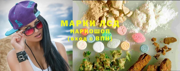 спиды Горняк