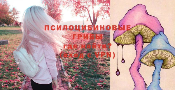 марки lsd Горнозаводск