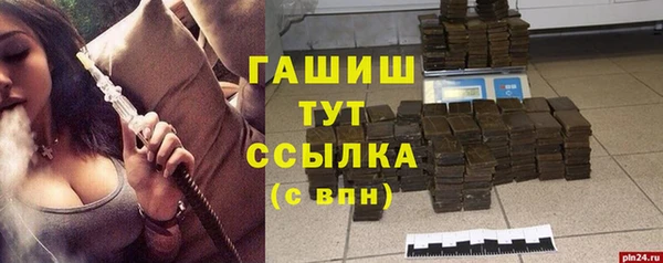 спиды Горняк