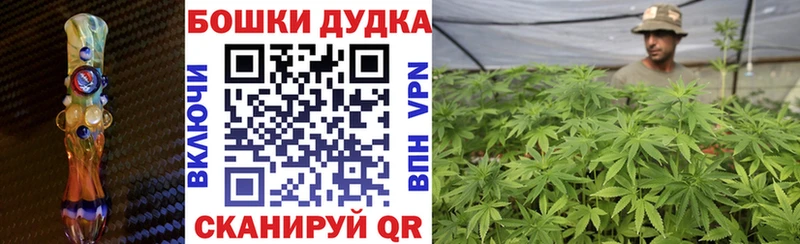 Канабис Bruce Banner  где купить наркоту  Шуя 